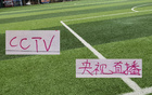 第23轮 ！CCTV直播中超比赛暂定有 申花VS河南